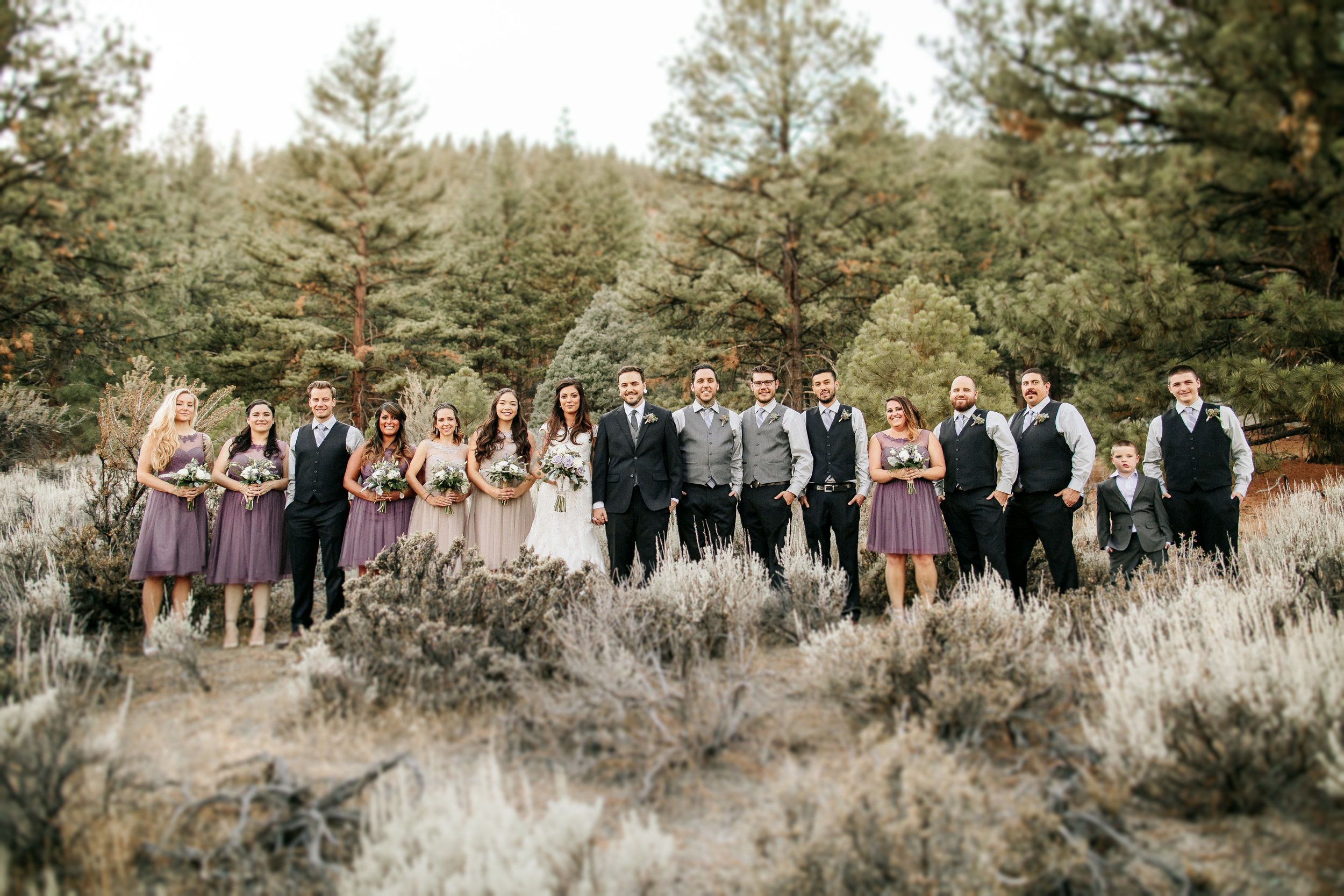 Tahoe Film Wedding Photography Deer Lovers Photography