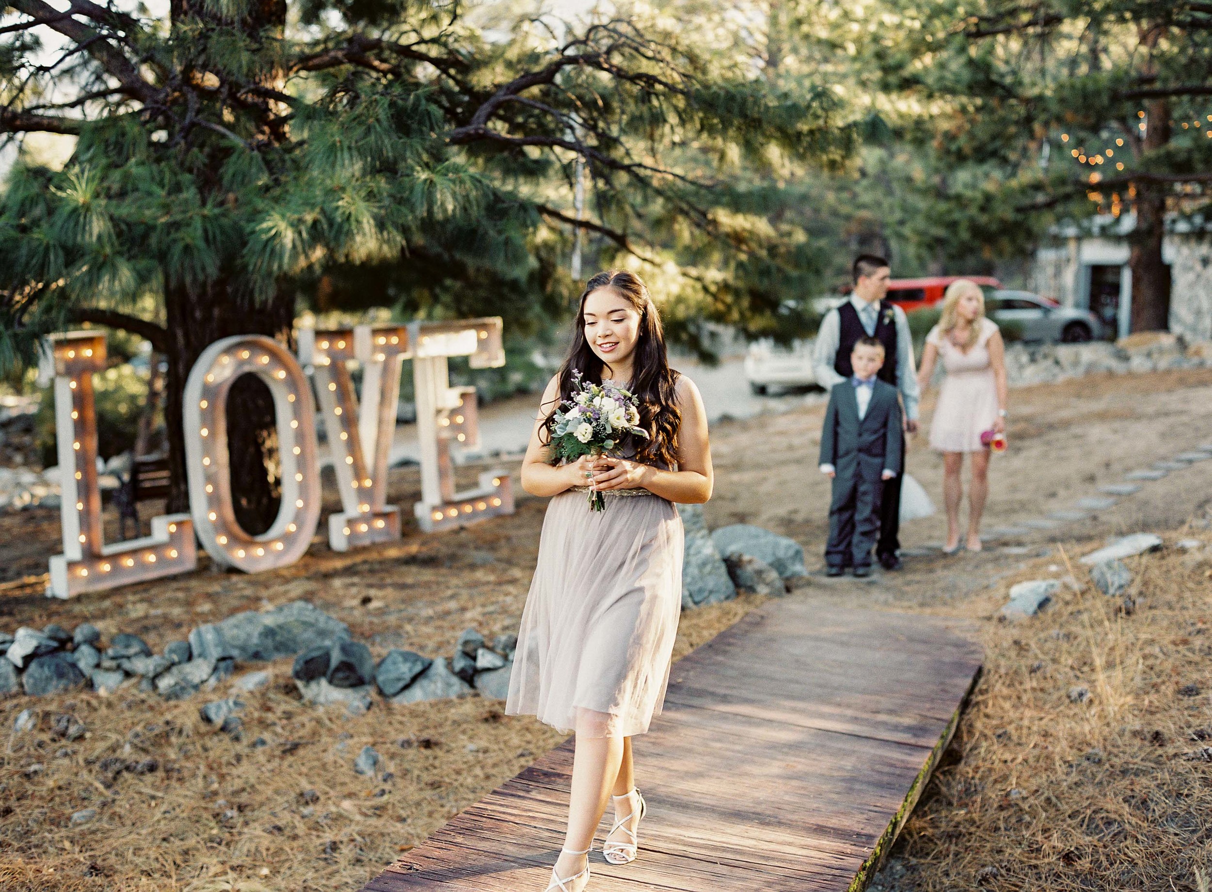 Tahoe Film Wedding Photography Deer Lovers Photography